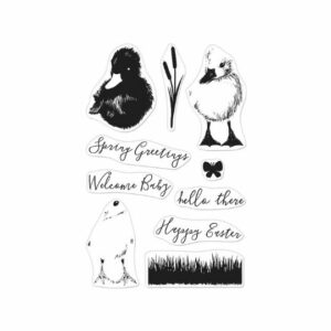 Color Layering Duckling Clear Stamp Set